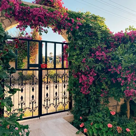 Bed & Breakfast Limon