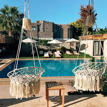 Alojamento de Acomodação e Pequeno-almoço Limon *